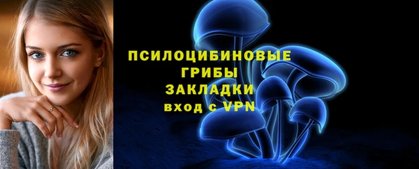 ECSTASY Елабуга