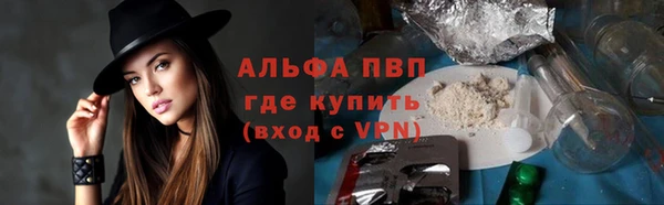 Альфа ПВП Елизово