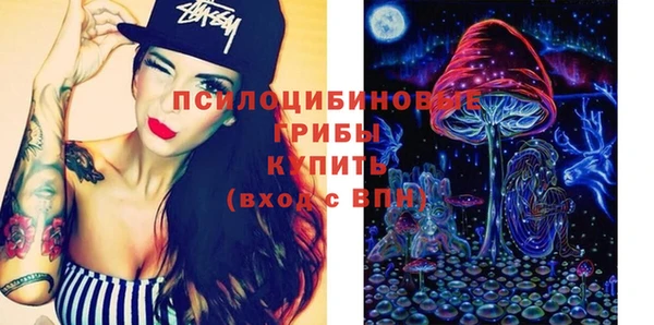 герыч Ельня
